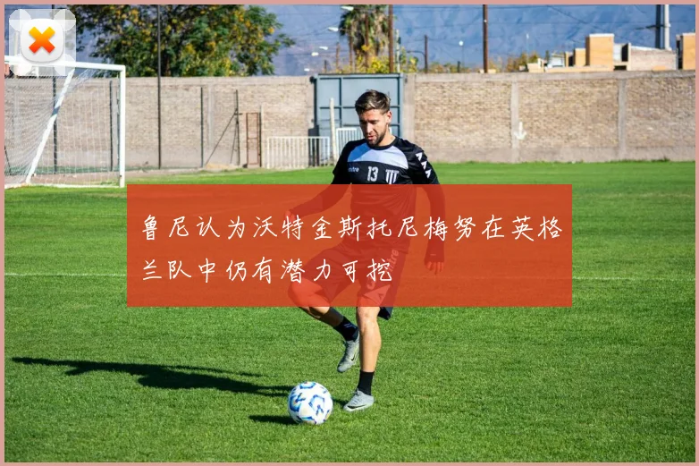 鲁尼认为沃特金斯托尼梅努在英格兰队中仍有潜力可挖
