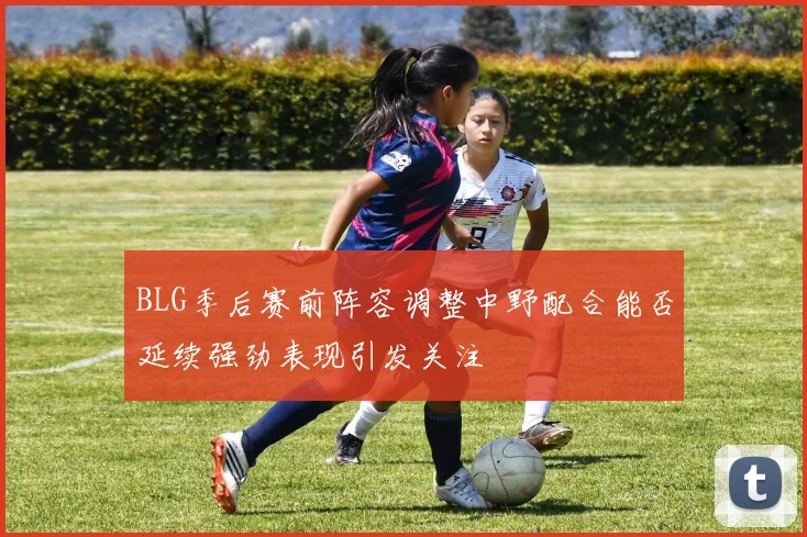 BLG季后赛前阵容调整中野配合能否延续强劲表现引发关注